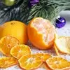 Toptan Kuru Mandalina Cips Doğal