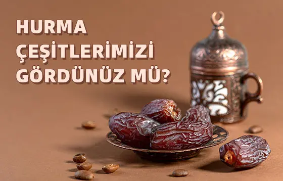 Hurma Çeşitleri